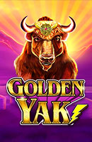 Golden Yak