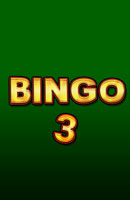 Bingo 3